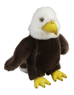 Eagle 18cm - DONATION
