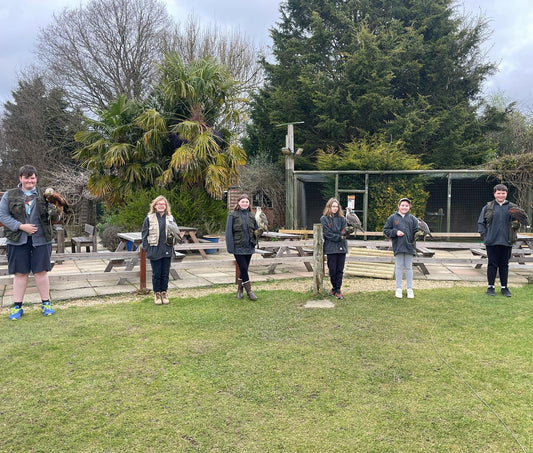 Young Falconers Club - Wednesdays