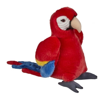 Scarlett Macaw - DONATION